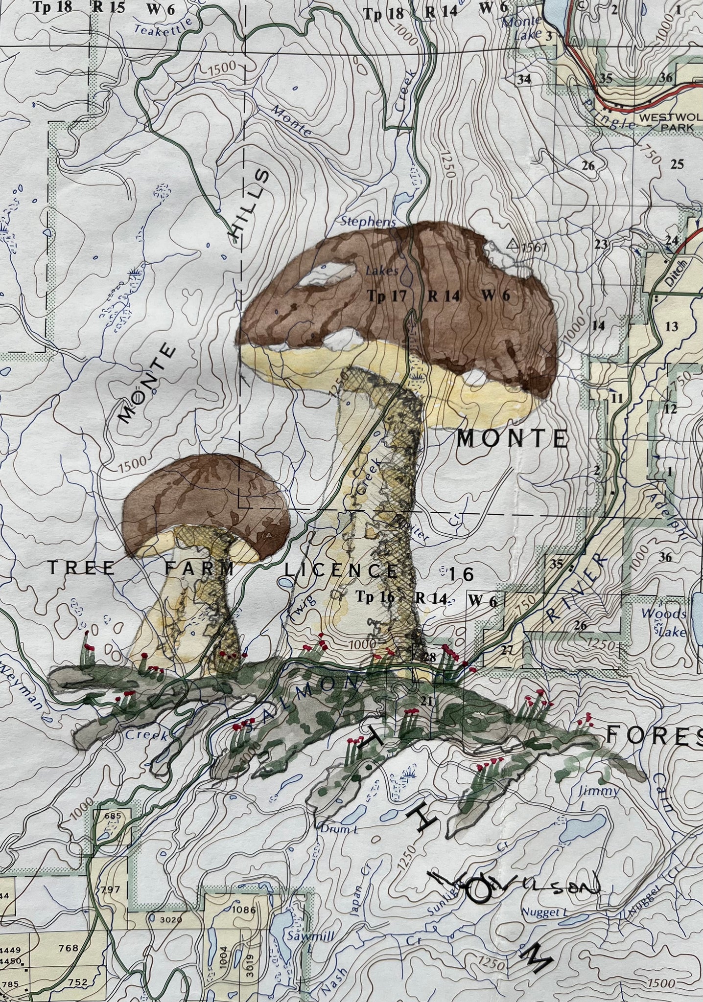 Topographic Map Art - Mushroom