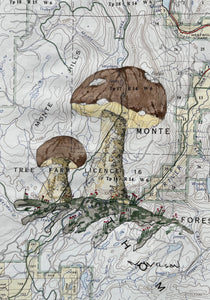 Topographic Map Art - Mushroom