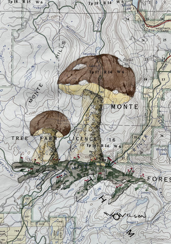 Topographic Map Art - Mushroom