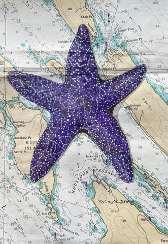 Navigation Chart Art - Galiano Island - Starfish