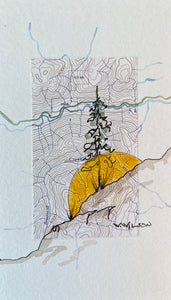Topographic Map Art - BRADFORD CREEK