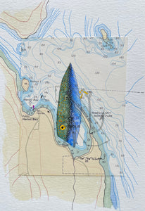 Navigation Chart Art - Vintage Fishing Plug - REBECCA SPIT MARINE PARK