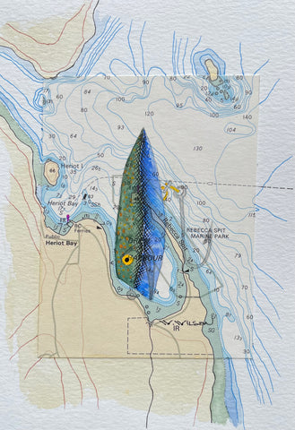 Navigation Chart Art - Vintage Fishing Plug - REBECCA SPIT MARINE PARK