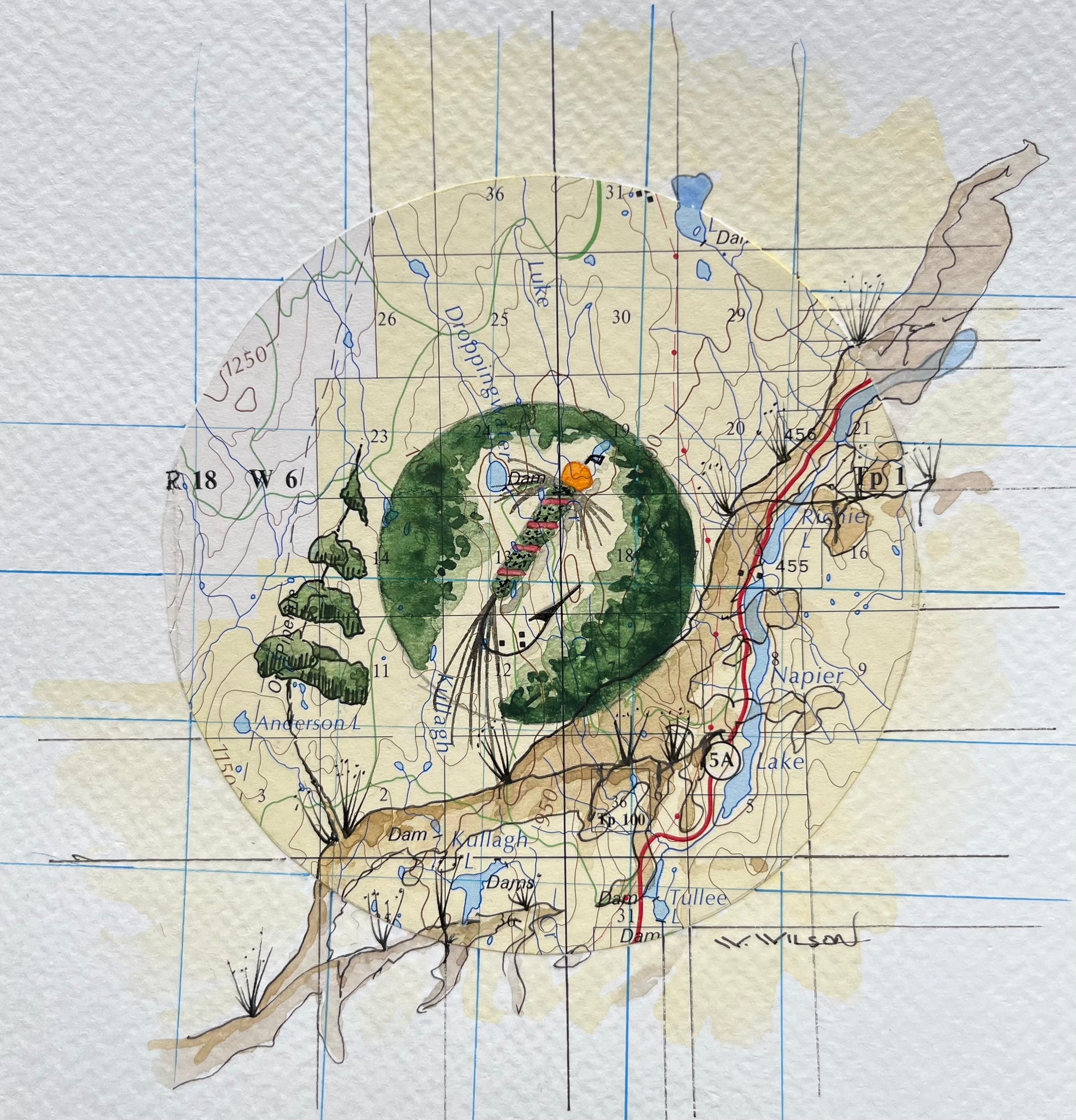 Topographic Map Art - Fly Pattern - NAPIER LAKE