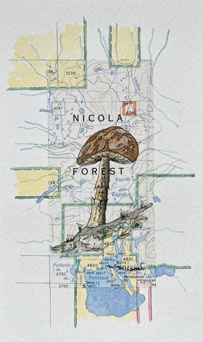 Topographic Map Art - Mushroom - NICOLA FOREST