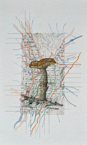 Topographic Map Art - Mushroom - JACKPINE MOUNTAIN