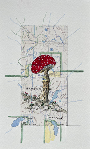 Topographic Map Art - Mushroom -  BARTON HILL FOREST
