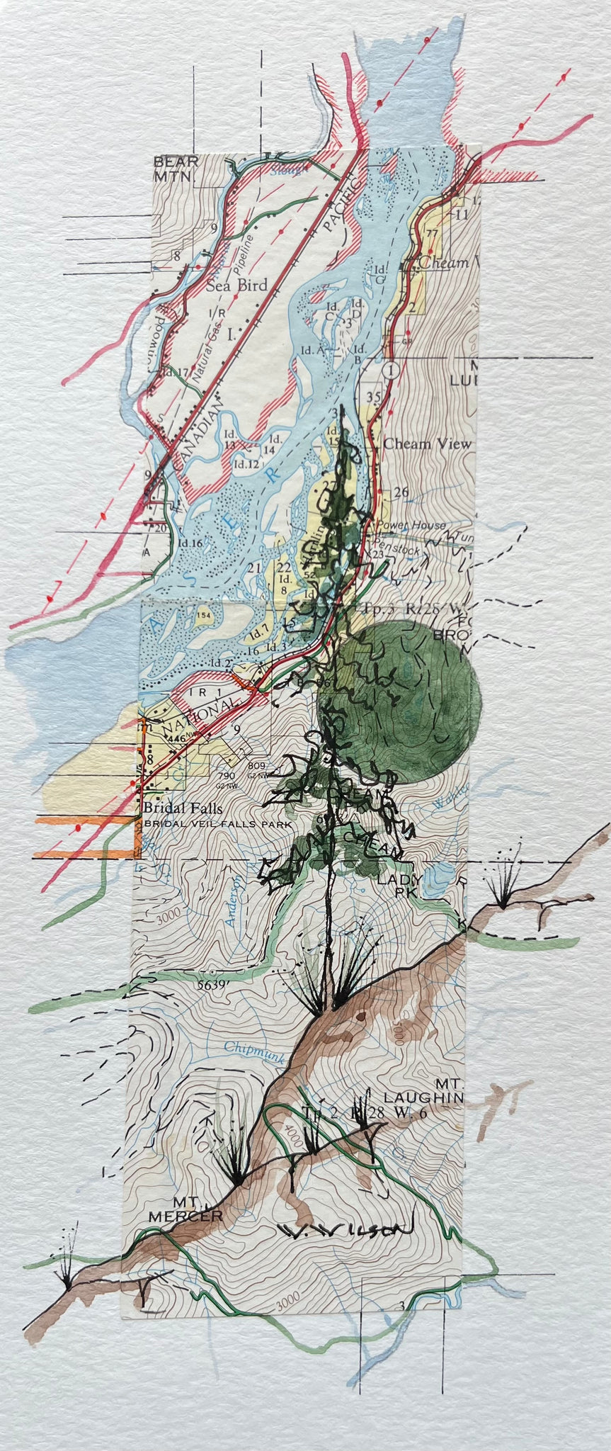 Topographic Map Art - SEA BIRD ISLAND