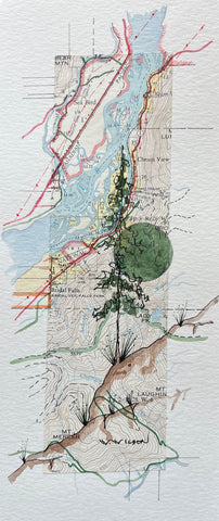 Topographic Map Art - SEA BIRD ISLAND