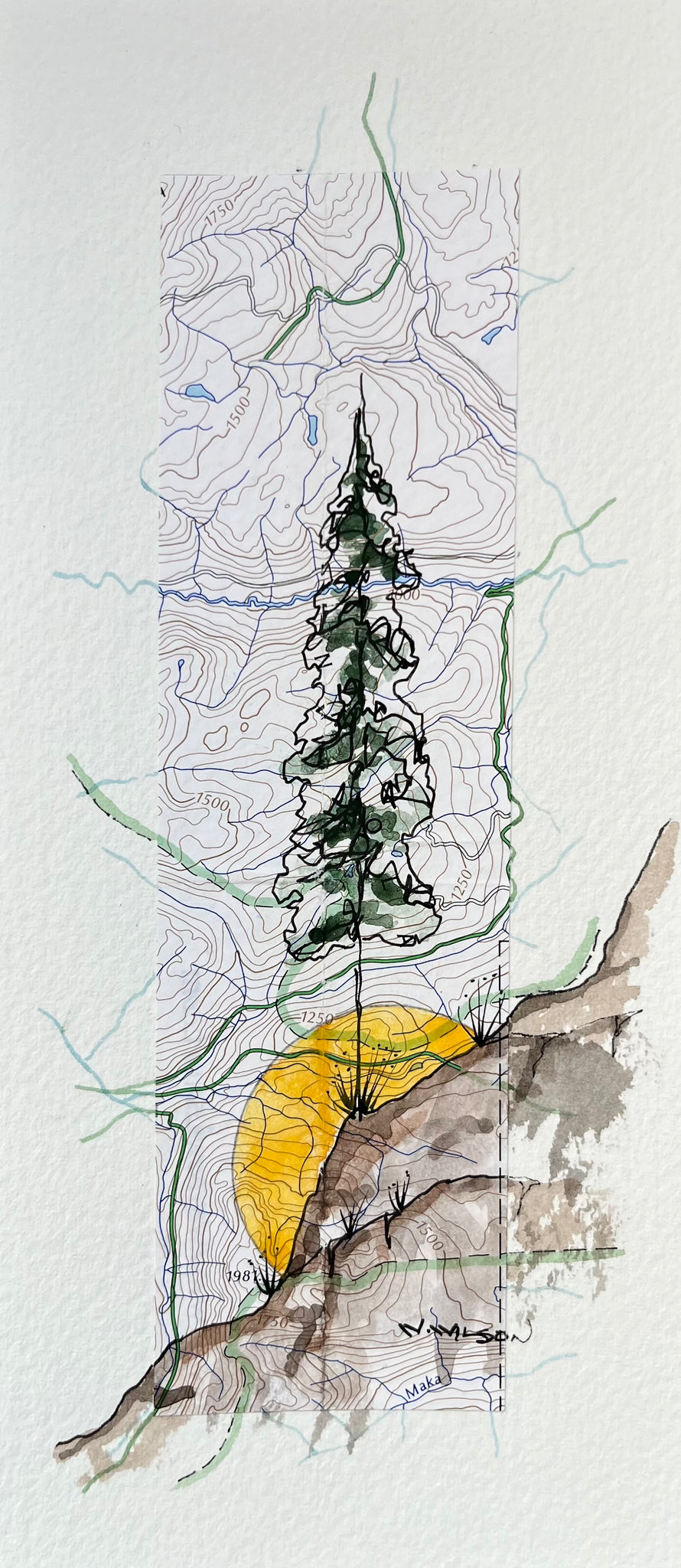Topographic Map Art - MT FOWLER, BC