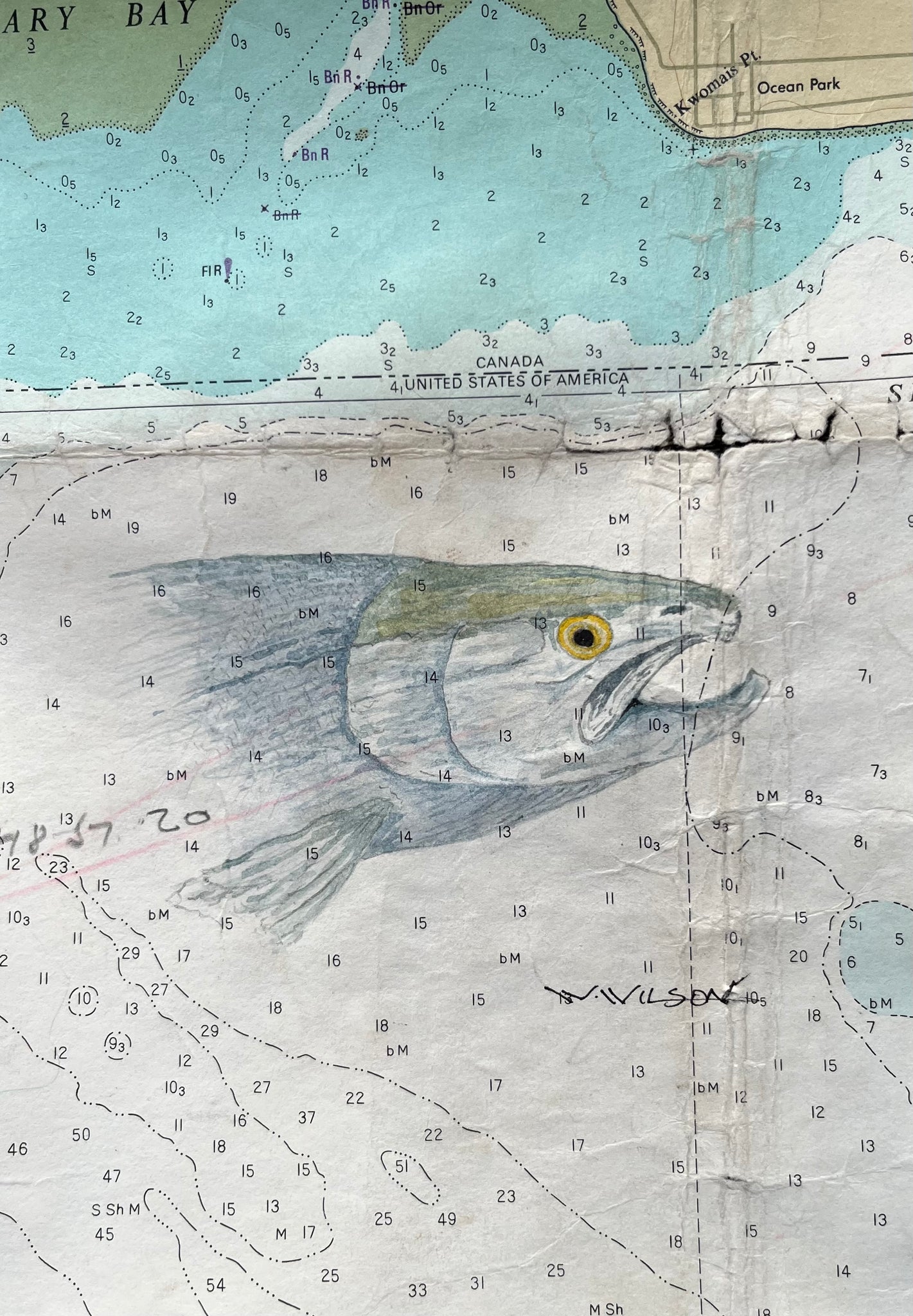 Navigation Chart Art - Point Roberts - Salmon
