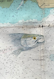 Navigation Chart Art - Point Roberts - Salmon