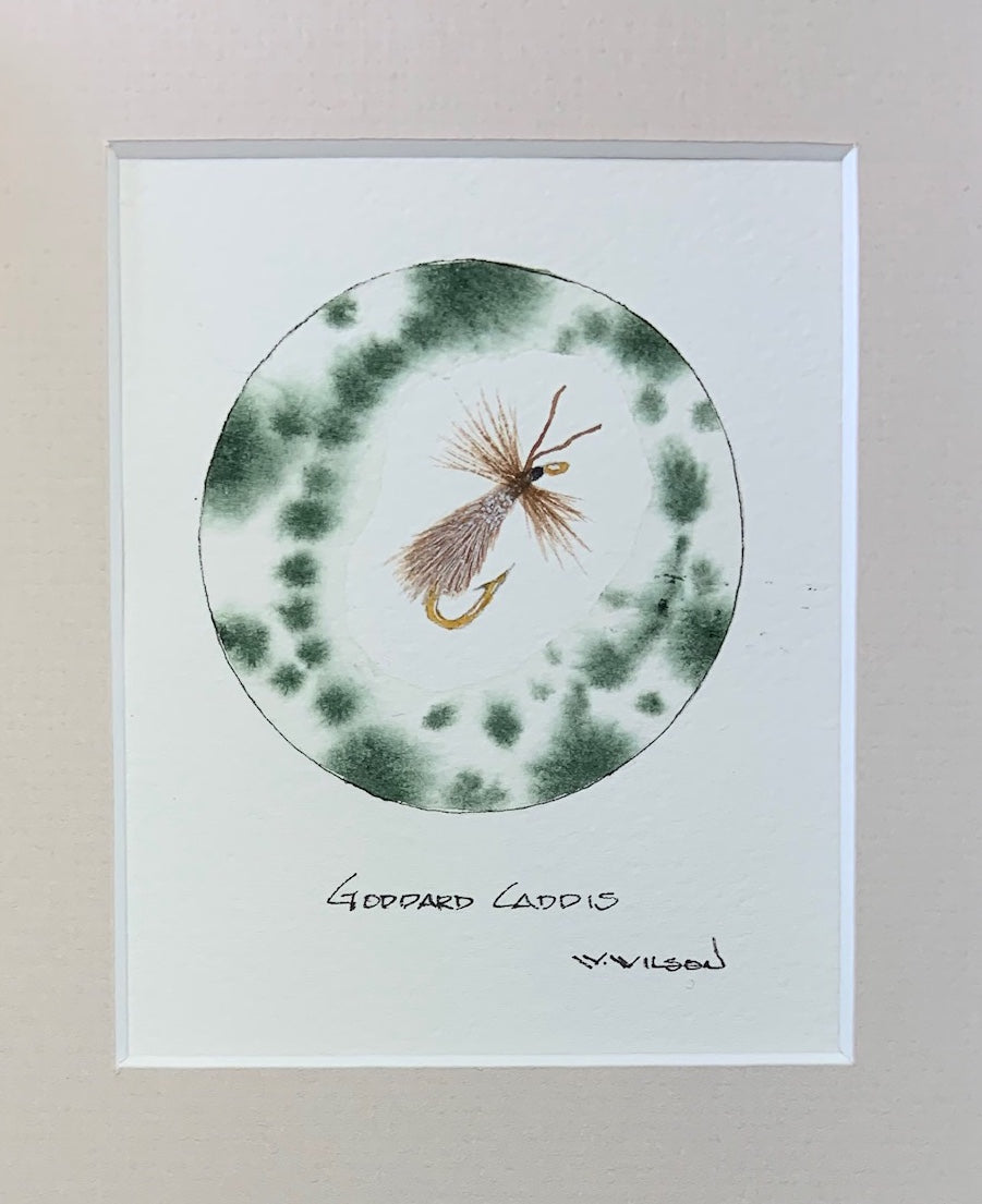 Goddard Caddis 4”w X 5”h