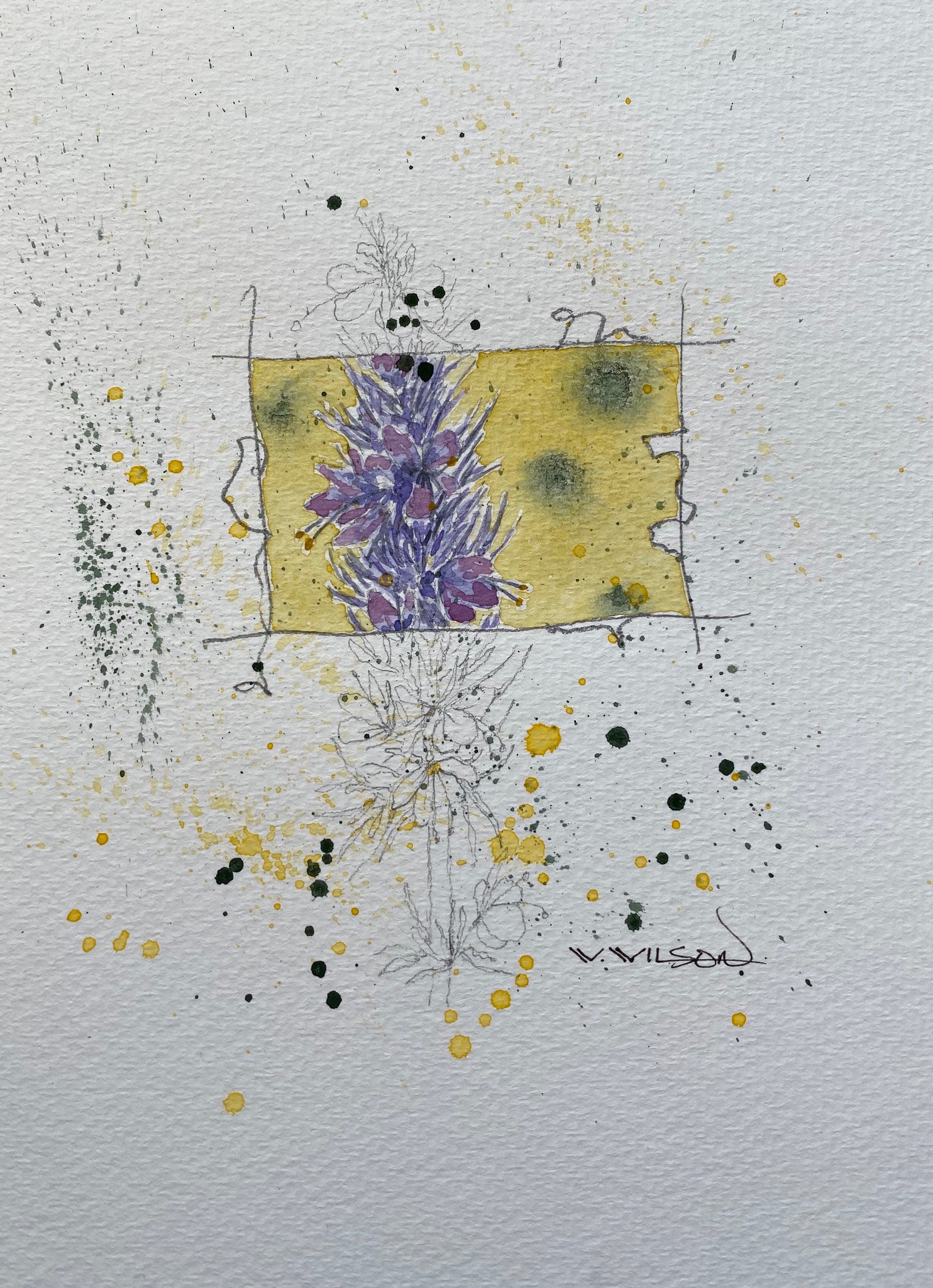 Purple Fringe Flower