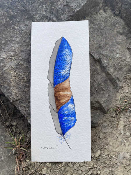 Feather Series - 2021