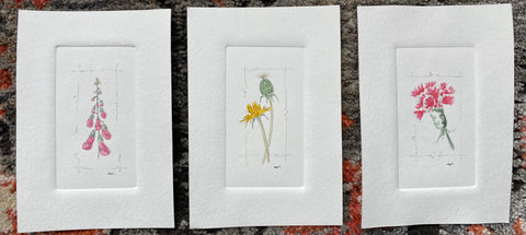 Embossed Watercolour Series