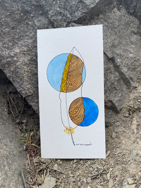 Feather Series - 2021