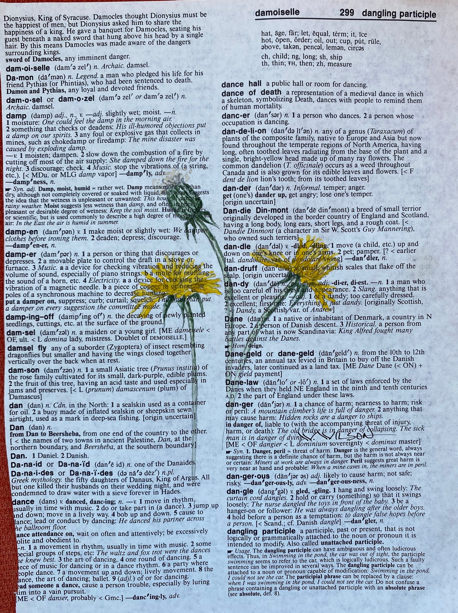 ‘D’ is for Dandelion