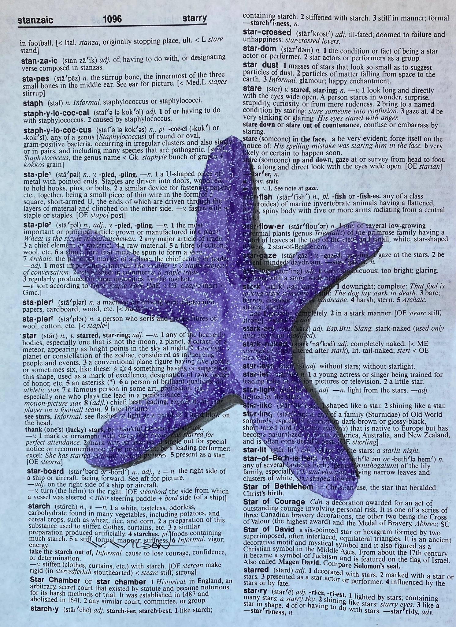 ‘S’is for Starfish