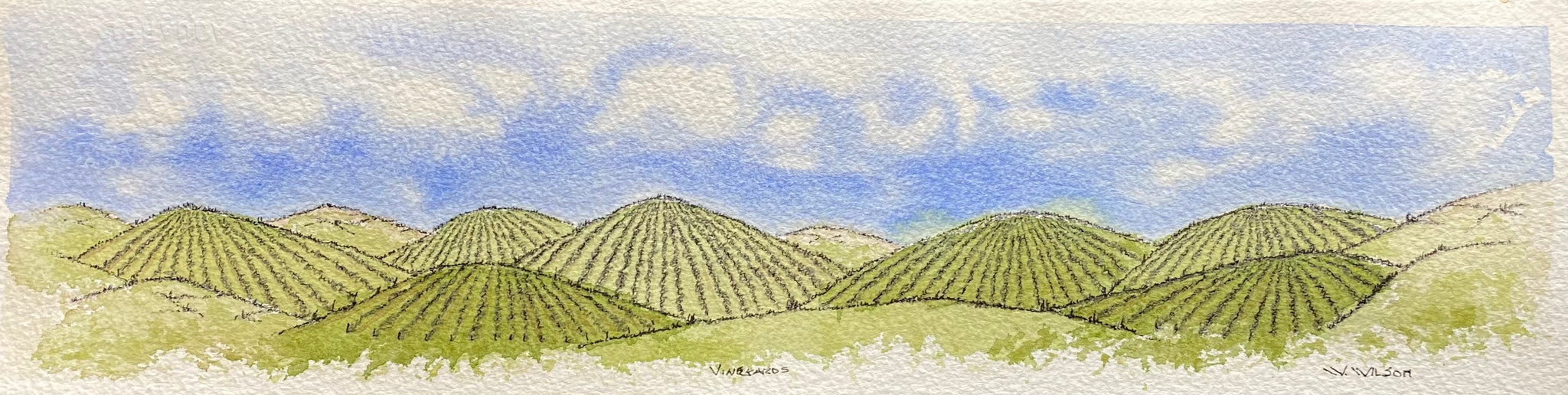 Vineyards