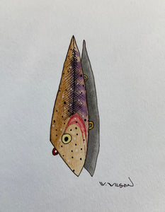 Fishing Plug Design