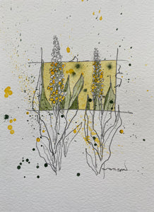 Mullein