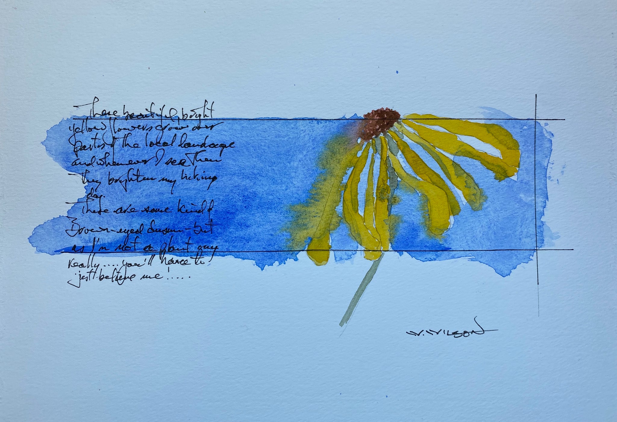 Brown Eyed Susan
