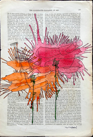 Fractal Flowers 8”w X 12”