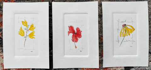 Embossed Watercolour Series