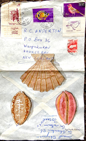 Sea Shell Study - 12" X 14"