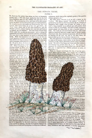 Morel Mushrooms 8”w X 12”h